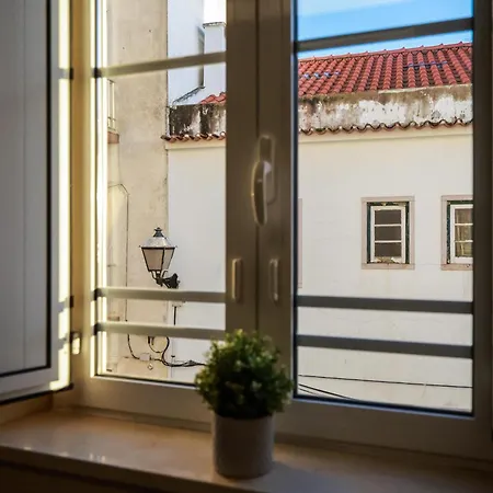 Apartment Olivas